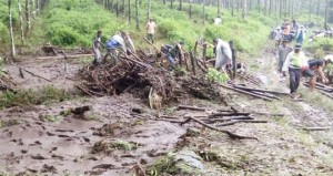BPBD: Lahan Bawang Putih Sebabkan Banjir Bandang di 3 village