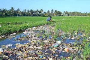 Household Garbage Kotori Rice Fields in Sempu