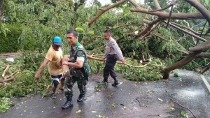 Hujan Setengah Jam Bikin Kalang Kabut