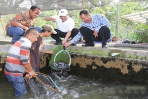 Banyuwangi Galakkan 100.000 Kolam Pekarangan