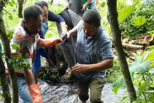 Terpeleset Saat Mandi, Kakek 75 Tahun Ditemukan Tewas di Sungai