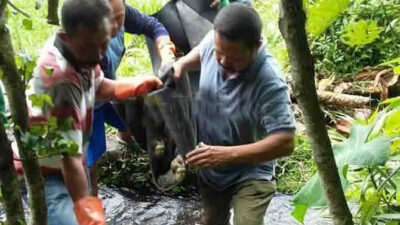 Terpeleset Saat Mandi, Kakek 75 Tahun Ditemukan Tewas di Sungai