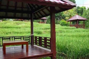 Waroeng Kemarang, Tawarkan Sensasi Makan di Tepi Sawah