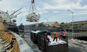 Thousands of Tons of Vietnamese Imported Rice Arrives at Tanjungwangi Port