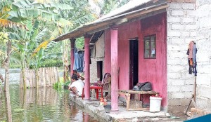 Genangan Air di Desa Sumberberas Dibuat Lokasi Memancing