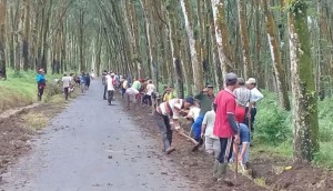 Kompak, Masyarakat Desa Margomulyo “Kerja Bakti Masal” Perbaiki Jalan Rusak