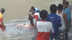 Heboh! Warga Kebaman Temukan Jasad Pria Mengapung di Sungai