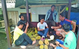 Panen Durian Banyuwangi Diprediksi Bertahan Hingga Mei