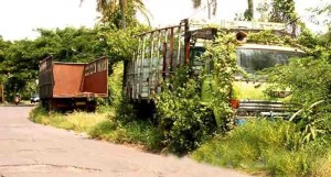 Diparkir Berbulan-Bulan, Truk di Pinggir Jalan Ini Resahkan Warga