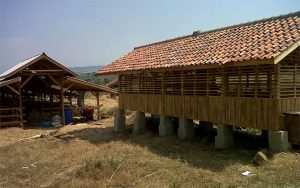 Kandang