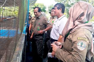 BBKSDA Jatim Dukung Taman Edukasi Penyu di Banyuwangi