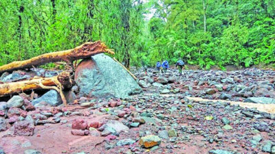 Gunung Raung Longsor Sebabkan Aliran Sungai Keruh