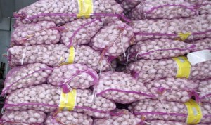 Harga Bawang Putih Melejit