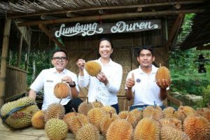 Minister Rini Soemarno Red Durian Party in Banyuwangi