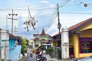 Potongan Kayu dan Ranting Pohon Menggantung di Kabel