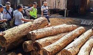 27 Illegal Sono Rivet Logs Confiscated by Police