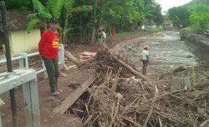 Akibat Banjir Bandang, Ratusan Hektare Sawah Terancam Gagal Panen