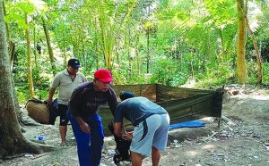 Gerebek Arena Sabung Ayam, Tiga Penjudi Diringkus Polisi