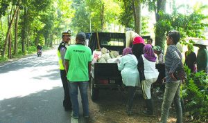 Tilang Pikap Pengangkut Buruh