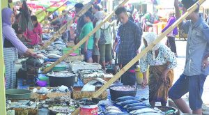 Restricted stock, Fish Prices Soar