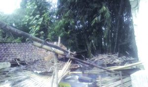 Rumah Mendadak Ambruk, Kakek Miskin di Srono Selamat dari Reruntuhan