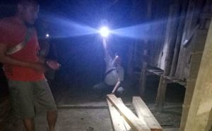 Satu Truk Kayu Jati Diduga Ilegal Diamankan Polisi