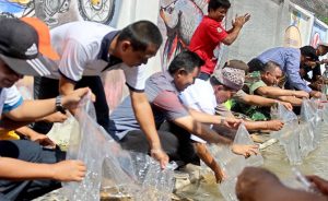Sulap Selokan Menjadi Kolam Ikan Koi