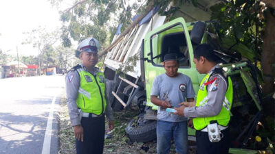 Brakk! Sopir Ngantuk, Dum Truck Ringsek Tabrak Pohon di Setail