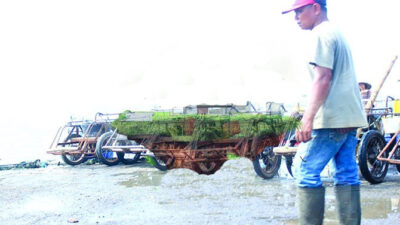 Lonely Fish Catch, Buruh Manol Menganggur