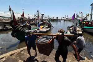 Jelang Lebaran, Tangkapan Ikan Nelayan Muncar Melimpah