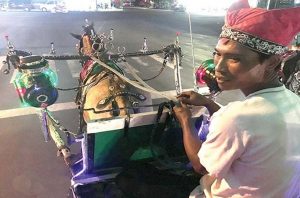Berkah Ramadan, Omzet Dokar Wisata Naik Dua Kali Lipat