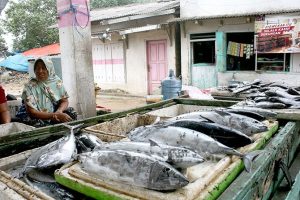 Sepi Tangkapan, Harga Ikan Naik