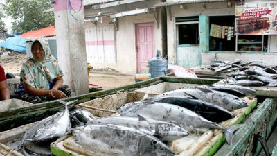 Quiet Catch, Fish Prices Rise