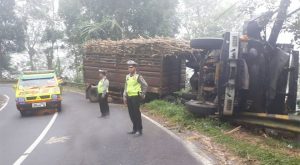 Brake failure, Sugarcane Loading Truck Overturned, Driver Killed