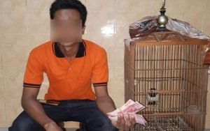 Jual Jalak Suren di Medsos, Pria Asal Kalipuro Ditangkap Polisi