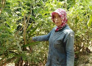 Land Taken by People, This mother complained to the Banyuwangi Police Headquarters