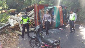 Truck Loaded with Sengon Wood Overturned in Gumitir