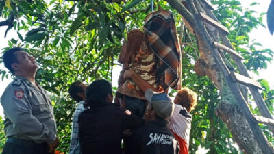 commotion! Grandfather in Tegaldlimo Found Dead Hanging on Mango Tree