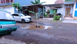 Tak Kunjung Diperbaiki, Warga Tanam Pohon Pisang di Jalan Berlubang