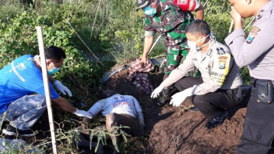 Grandpa 80 Year in Srono Found Dead Rotting in Rice Field