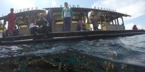 ‎Menteri Susi Pudjiastuti Akan Buka Banyuwangi Underwater Festival 2019