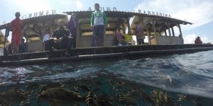 Menteri Susi Pudjiastuti Akan Buka Banyuwangi Underwater Festival 2019
