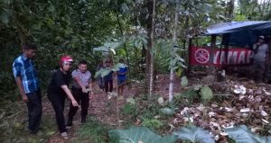 Naas, Pria Asal Songgon Tewas Tertimpa Durian Runtuh