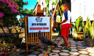 UNIK, Nyoblos di TPS Ini Berhadiah Lima Ekor Ayam