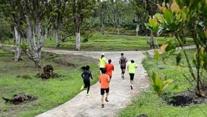 Banyuwangi Gelar Gombengsari Plantation Run