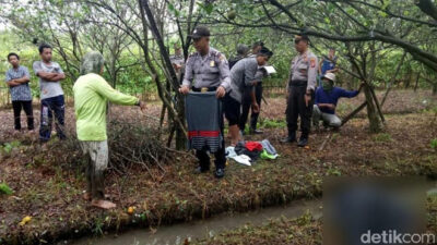 Pemudik asal Banyuwangi Ditemukan Tewas di Kebun Jeruk