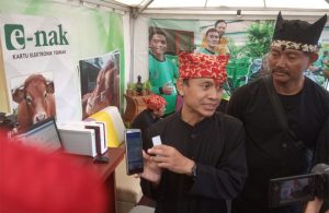 Sapi Mati Bisa Dapat Asuransi Asal Terdaftar di E-Nak