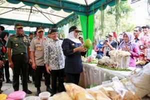 Gubernur Jawa Timur dan Pangdam V Brawijaya Buka TNI Membangun Desa di Banyuwangi