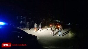 A herd of thieves brushes two cows in Wongsorejo