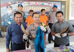 Polres Banyuwangi Ringkus 2 Pencuri Kambing